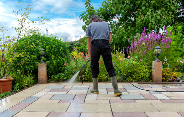 Best Spring Cleaning  in Franconia, VA