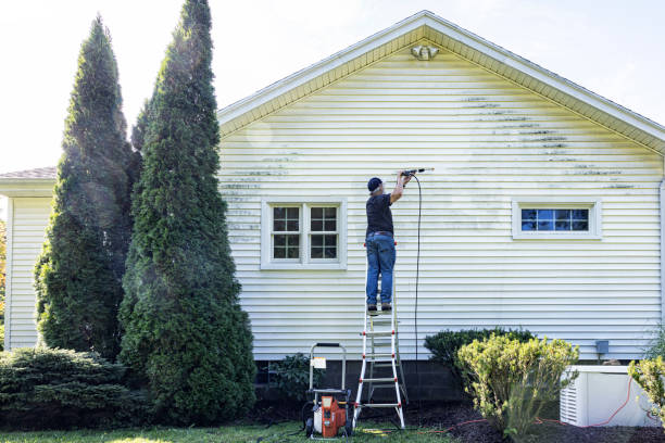 Best Building Exterior Washing  in Franconia, VA